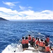 【宜蘭 | 賞鯨龜山島】噶瑪蘭號 | 賞鯨環龜山島含登島成人票