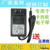 卡西歐電子琴CTK-495 CTK-496 CTK-500 CTK-501電源適配器9V