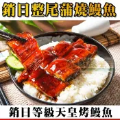 鮮綠生活36Life 【鮮綠生活】頂級直輸日本蒲燒烤鰻魚200g