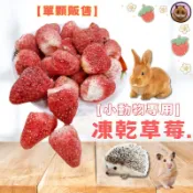 【快速出貨】小寵草莓凍乾 小動物用凍乾草莓 小動物草莓凍乾 小寵零食 鼠兔零食 鼠兔水果乾 倉鼠零食 小動物果乾