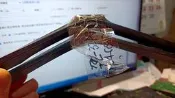 TL-32A900奇美電視  腳座底座附螺絲良品-林口家電