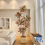 蒙麗百貨 免運/公司貨 【仿真裝飾植物】北歐大型仿真綠植巴西木高端輕奢室內客廳擺設仿真盆栽 植物 紅鐵樹全館折扣 售後保障 店長新品推薦 6m1115
