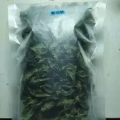 自然農耕無毒-藍冠菊花草茶送5g芳香萬壽菊