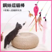 台灣🇹🇼現貨 24H出貨 鋼絲羽毛逗貓棒 逗貓棒 貓咪玩具 貓 寵物用品 貓玩具 逗貓 逗貓玩具 貓草 木天蓼 貓薄荷