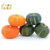 現貨隔日寄 紅綠迷你栗子南瓜種子 貝貝南瓜籽 手掌南瓜 裝飾南瓜 家庭菜園 陽台盆栽 日本品種 栗南瓜