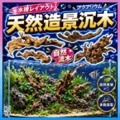 放風水族【天然造景沉木🌳】小紅木 紫柚木 魚缸造景 天然沉木 水族造景 沉木造景 杜鵑根 水族箱造景 沉木造景 水草造景