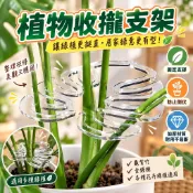 🔥新北出貨🔥龜背竹支撐桿花支撐架枝幹收攏架植物防倒伏支架綠植固定塑料繩子 伏春雨支架 金錢樹固定器 花卉支撐架 植物支撐