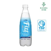 【Uneed 健康綠活】Fizz氣泡水 500mL 強氣泡/無糖/零熱量｜台隆手創館