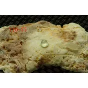 Y10-77玉戒面❀天然翡翠玉A貨高冰玻璃種小蛋面戒面裸石鴿子蛋鑲嵌飾品【緬甸玉翠軒】玉首飾品 男女款式