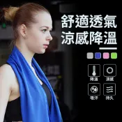 CS22 涼感降溫運動冰涼巾(1入/3條)