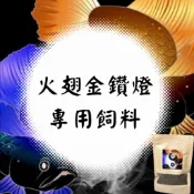 🐟觀魚水族🐟 火翅金鑽燈 專用飼料