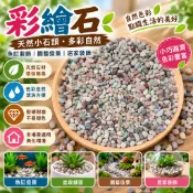 【微景小舖】彩繪石 小石頭 魚缸裝飾造景 鋪地石頭 雨花石 鵝卵石 微景觀擺件 多肉植物苔蘚生態瓶配件 景觀盆栽