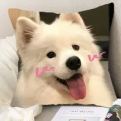 親驗百百款貨 台中現貨 抱枕區18 QQ萌寵抱枕小貓咪 柴犬狐狸犬狗照片萌寵枕頭寵物店靠墊 娃娃機台主發沙椅子 午休趴睡