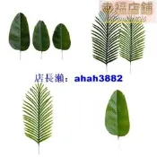 高模擬手感散尾葵旅人蕉葉片北歐風插花綠植葉材森系景觀裝飾植物