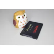 SANDISK SDSSDXPS-480G  SSD SATA 2.5“ 固態硬碟