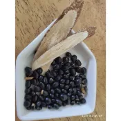 四季供應黑豆茶包系列