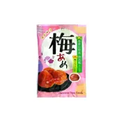 (店+)【SENJAKU 扇雀飴】+爆買日本+ 蜂蜜梅糖 46g 和歌山南高梅 梅子汁 果汁糖 梅子糖 梅精 日本原裝 日本進口
