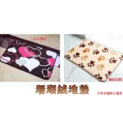 🎉現貨商品💕台灣賣家🎉 珊瑚絨地墊 吸水地墊 防滑室內地墊 大門地墊 門口地墊 房門地墊 床前地墊 地墊