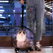 🐱熱銷免運 可開髮票🐱 貓包便攜寵物行李箱太空艙推車 貓咪外出拉桿箱狗狗籠子旅行箱透明 貓咪拉桿箱 寵物航空箱外出箱