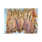 (店+)【振新商行】阿根廷《乾魷魚》 ( 55-65g / 80-90g )