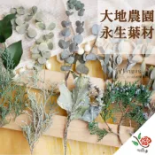(店+)日本 大地農園 永生葉材 米蘭葉 極度花燥 花材 葉材 永生花 乾燥花 不凋花 長青葉 常春藤 畢業季 畢業 七夕