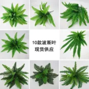 10款大號仿真波斯草 小波斯葉 仿真花蕨葉仿真植物 花園戶外牆配材婚慶裝飾 蕨類綠植