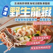 【漁讚】野生龍蝦 活凍龍蝦 龍蝦 大龍蝦 活體龍蝦 青殼龍蝦 澎湖龍蝦 台灣龍蝦 錦繡龍蝦 進口龍蝦 海鮮宅配 水產宅配