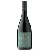 【品酒網】智利 卡門酒莊 特級典藏系列白蘇維翁白葡萄酒 750ml Carmen Gran Reserva Sauvignon Blanc