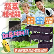 台灣現貨🎁免運🥦種植箱 種菜專用 加大加深 帶水栓可排水可蓄水 栽培箱 高架種植箱 種菜箱 超大種植箱 蔬菜種植箱