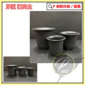 P老闆園藝~厚型 圓高盆 高腳盆 多肉植物 多肉丸盆 仙人掌 花盆 塑膠花盆 圓高盆 圓盆 塑膠花盆 多肉 蕨類盆器適用