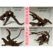 2呎中型精品沉木系列#魚缸造景燈魚神仙熱帶魚異型水草種植寵物棲息微景觀造景茶几擺件裝飾等專用沈木漂亮造型貼近自然紫柚木