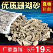 協貿國際日用品生活5館 珊瑚石珊瑚砂菲律賓沙魚缸過濾材料造景天然石海水缸珊瑚骨底沙