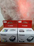 Canon原廠PG-745 CL-746 PG745 CL746-TR4570、TR4670、TS3170、TS3370