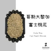 （極推👍）哥斯大黎加 富士桃花 塔拉珠 熱衝擊水洗/日曬/厭氧蜜處理  咖啡生豆500g｜豆桑生豆
