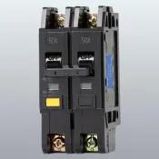 (店+)士林電機 漏電斷路器 NVB-50L  2P系列  NVB-50L 5k 2P15A 20A 30A 40A 50A