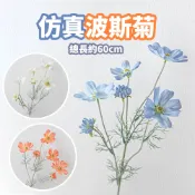現貨 仿真波斯菊【仿真花】DCN0140▸假波斯菊▸擺拍背景▸攝影假花▸擺拍假花▸仿真花束▸植物擺拍道具▸仿真植物