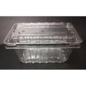 番茄盒  飼養盒  水果盒  包裝盒 透明盒