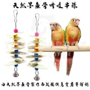 【鸚舞樂悠悠】天然墨魚骨串珠 墨魚骨啃咬串珠 純天然無漂白 安全無毒耐啃咬 紓壓補鈣 鸚鵡用品專區