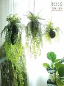協貿國際日用品生活8館 森系室內空中垂吊樹根蕨類草仿真綠植物吊飾家居裝飾創意花藝設計