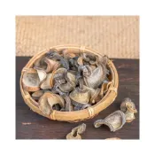 (店+)【淳歆】海茸頭 （素螺肉）(150g、300g、600g)