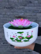 川澤百貨 【熱賣】無孔睡蓮荷花盆缸家用仿陶瓷樹脂加厚銅錢草水培碗蓮塑料深高花盆