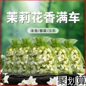✨🔥桃園出貨🔥茉莉花香氛袋 茉莉花香囊 車載香薰 乾花香包 花香包 衣櫃芳香 芳香包 衣物香氛袋 香包吊飾 衣櫃香包