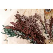 (店+)【極度花燥】尤加利葉 不凋小葉 一枝葉材