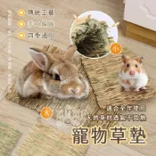 (店+)【小搗蛋鬼の王國】寵物草墊 寵物腳墊 兔子腳墊 稻草 蘋果枝 甜竹 倉鼠草窩 天然草墊 天然牧草 倉鼠