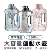 大容量運動水壺 2500ml 運動水壺 吸管水壺 水壺 健身水壺 大容量水壺 運動 健身