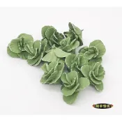(店+)微縮 白菜 萵苣 青菜 蔬菜 迷你仿真  娃娃屋 微縮模型 食玩 微景觀 微縮場景 1:12