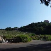 0422978080台中沙鹿撿骨黃玉骨灰罐擇日全套1萬2客人賣五湖園骨灰位寶覺寺靈骨塔位大度山納骨塔位東海七福寶塔位禮儀