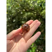 瑪瑙紅玉髓南瓜珠 尼泊爾 飛翾老珠