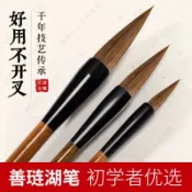 【本物研究所🎨】毛筆狼毫兼毫羊毫小楷書法用品套裝國畵國小生大白雲練字文房四寶