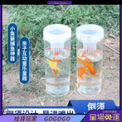 ⚡臺灣出貨⚡兒童捉魚神器抓魚瓶工具倒須戶外親子優質捕魚簍池塘魚籠漁網籠
